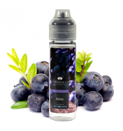 Prêt à booster 50ml Silverberry House of Liquid