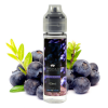 Prêt à booster 50ml Silverberry House of Liquid